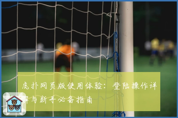 虎扑网页版使用体验：登陆操作详解与新手必备指南