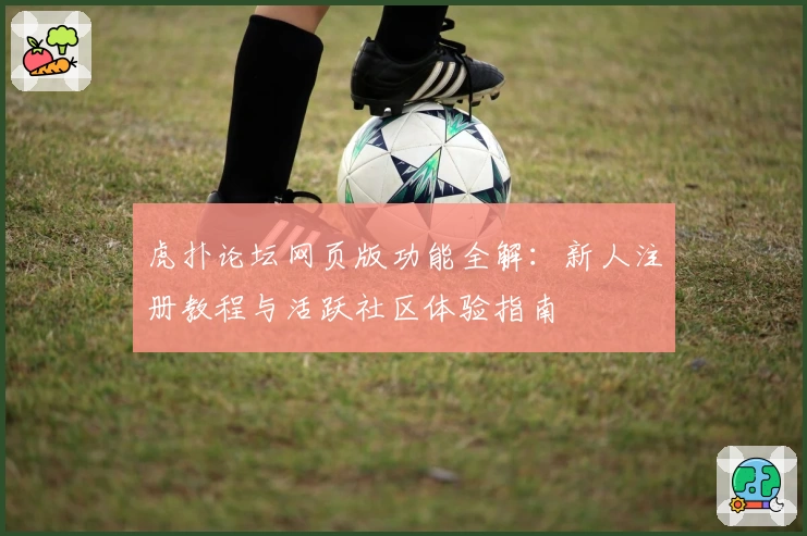 虎扑论坛网页版功能全解：新人注册教程与活跃社区体验指南