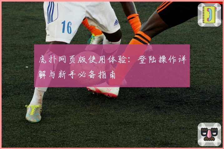 虎扑网页版使用体验：登陆操作详解与新手必备指南