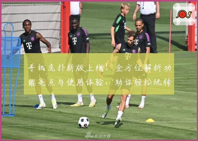 手机虎扑新版上线！全方位解析功能亮点与使用体验，助你轻松玩转社区互动